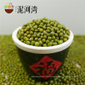 prime qualtiy Green Mung Beans para germinación, MC, tipo 2016,